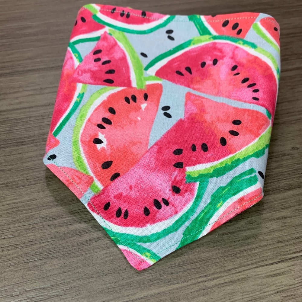 Watermelon sugar bandana and scrunchie